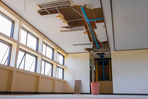 Best Professional water damage repair  in Sallisaw, OK