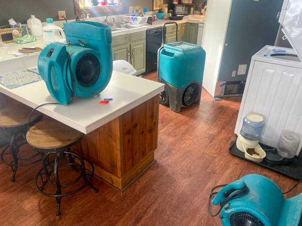 Best Water damage restoration experts  in Sallisaw, OK