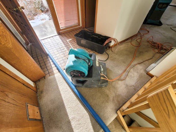 Best Water damage restoration process  in Sallisaw, OK