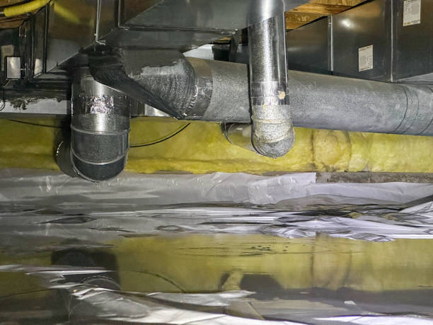Carpet water damage restoration in Sallisaw, OK