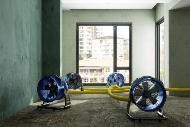 Reliable Sallisaw, OK Water damage restoration Solutions